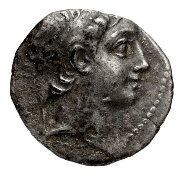аверс Seleucid Coins (part 2) 1908.4a