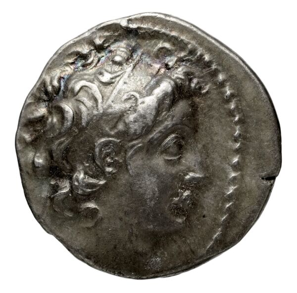 аверс Seleucid Coins (part 2) 1908.4c