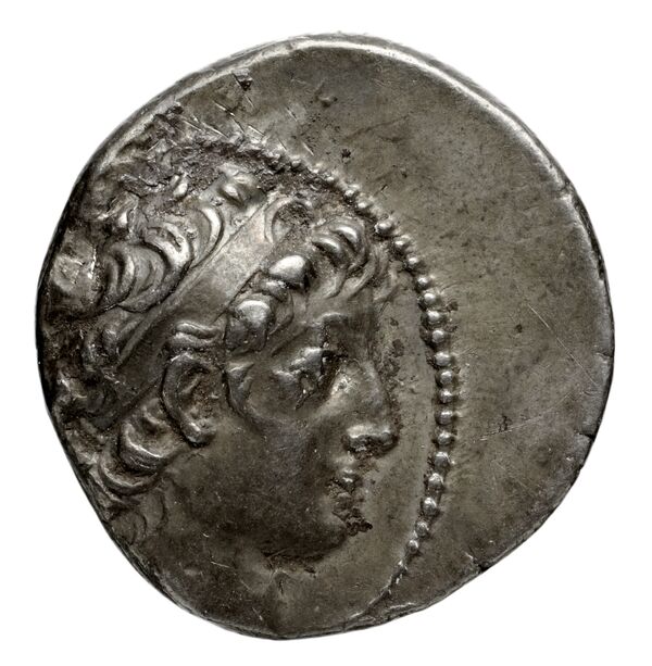 аверс Seleucid Coins (part 2) 1908.4i