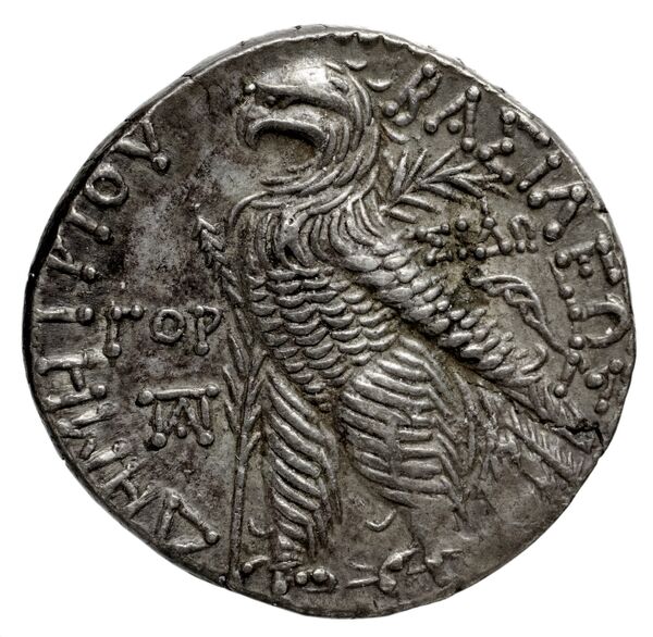 реверс Seleucid Coins (part 2) 1954.7a