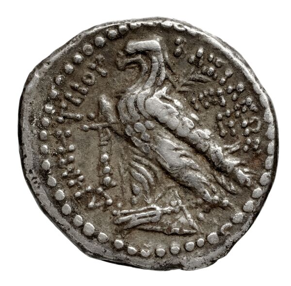 реверс Seleucid Coins (part 2) 1967.2a