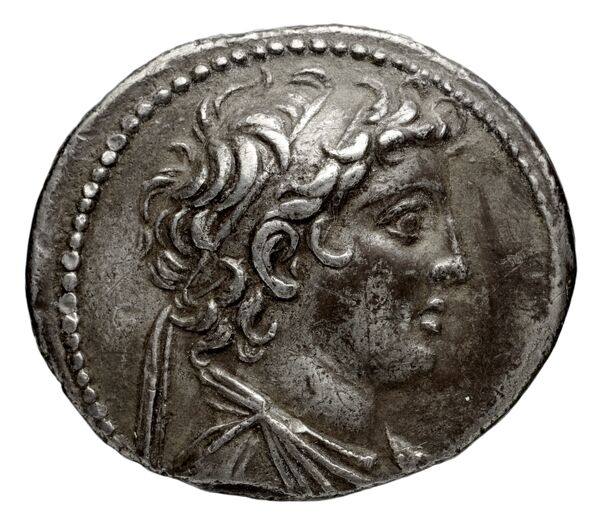 Seleucid Coins (part 2) 1961b, аверс, bnf-hrc