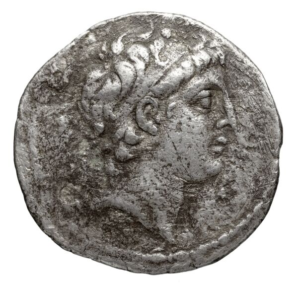 аверс Seleucid Coins (part 2) 1890