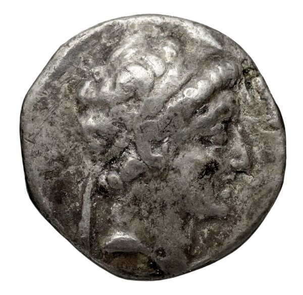 аверс Seleucid Coins (part 2) 1985.1