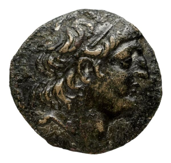 аверс Seleucid Coins (part 2) 2113.1