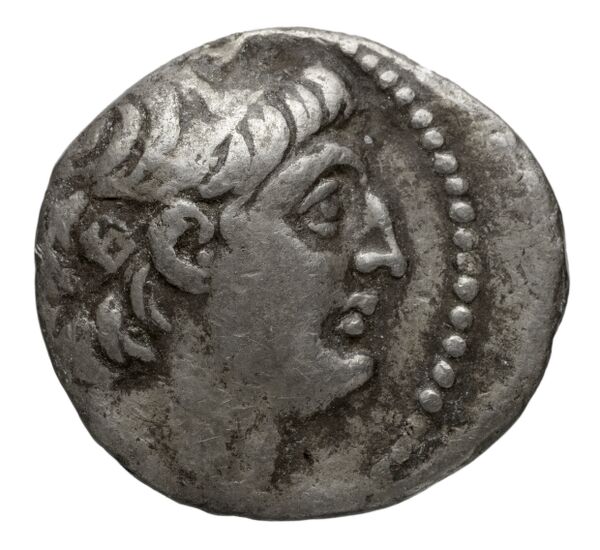 аверс Seleucid Coins (part 2) 2110.9a