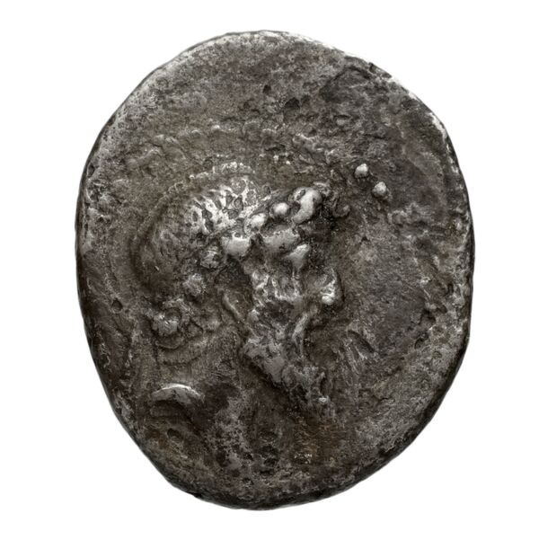 obverse Seleucid Coins (part 2) 2172