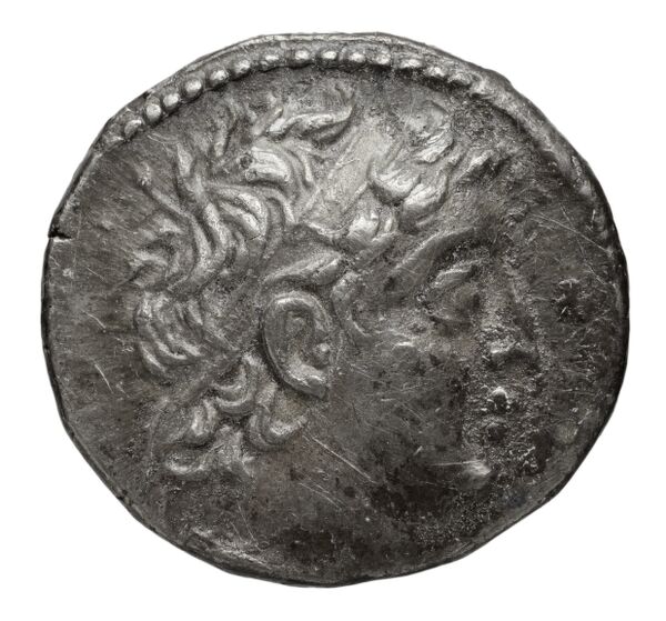 obverse Seleucid Coins (part 2) 2196.2b
