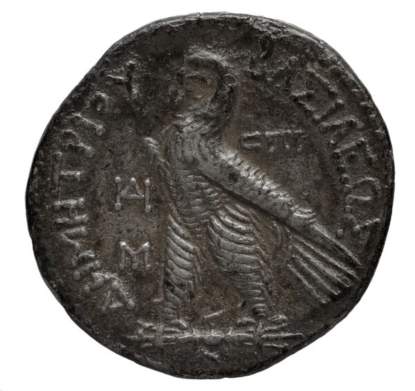 реверс Seleucid Coins (part 2) 2204.2