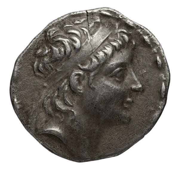 аверс Seleucid Coins (part 2) 2212.1a
