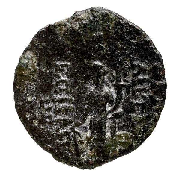реверс Seleucid Coins (part 2) 2315