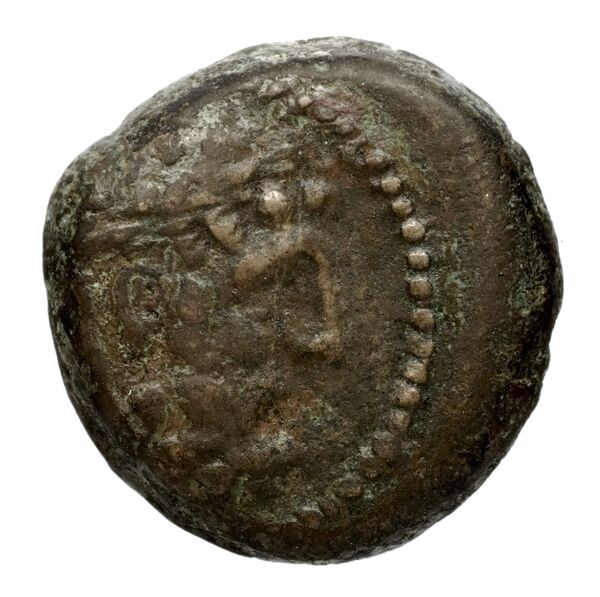 obverse Seleucid Coins (part 2) 2368.1b