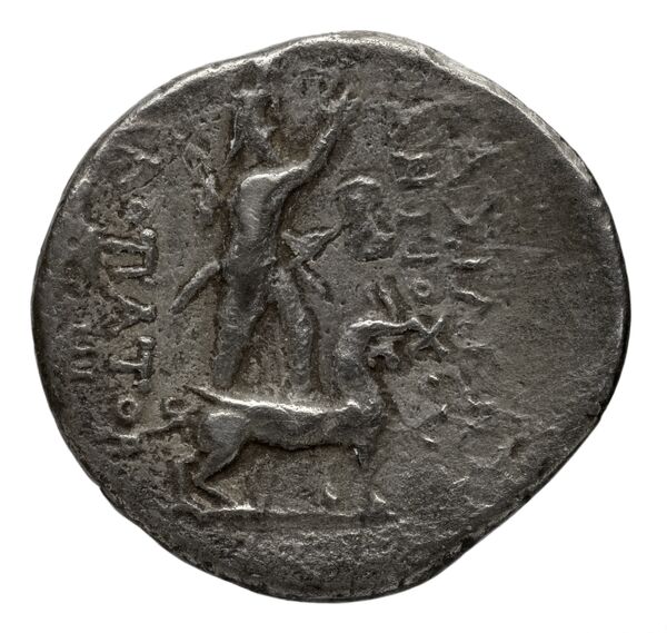реверс Seleucid Coins (part 2) 2351.2