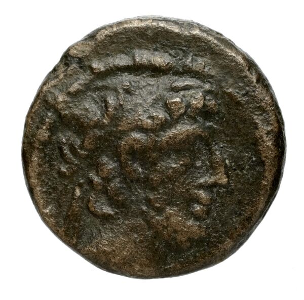 аверс Seleucid Coins (part 2) 2448