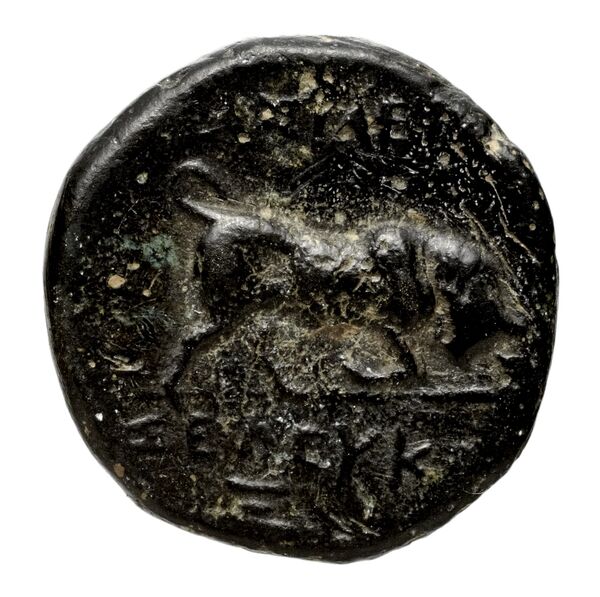 реверс Seleucid Coins (part 1) 22.1