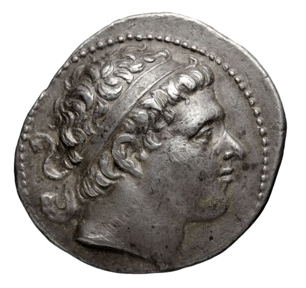 аверс Seleucid Coins (part 1) 487