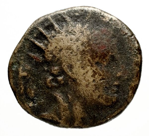 Seleucid Coins (part 2) 1500e, аверс, bnf-hrc