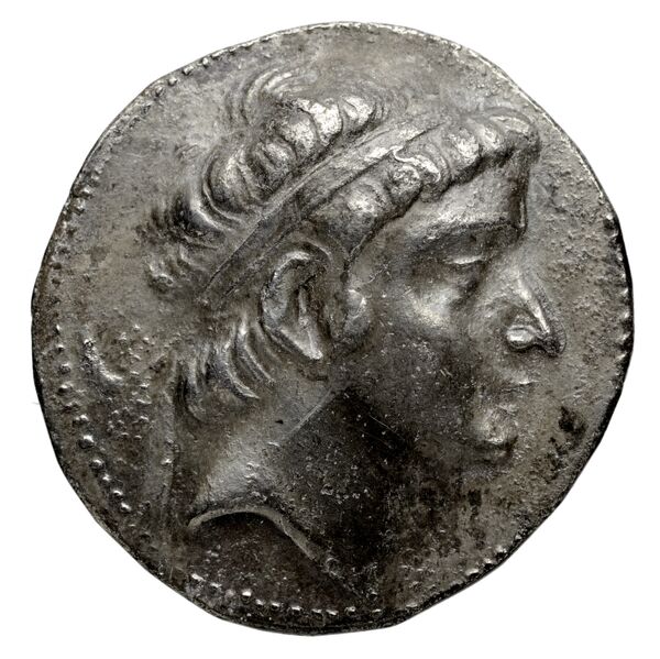 аверс Seleucid Coins (part 1) 742.1