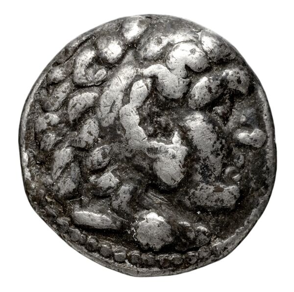 аверс Seleucid Coins (part 1) 358.2