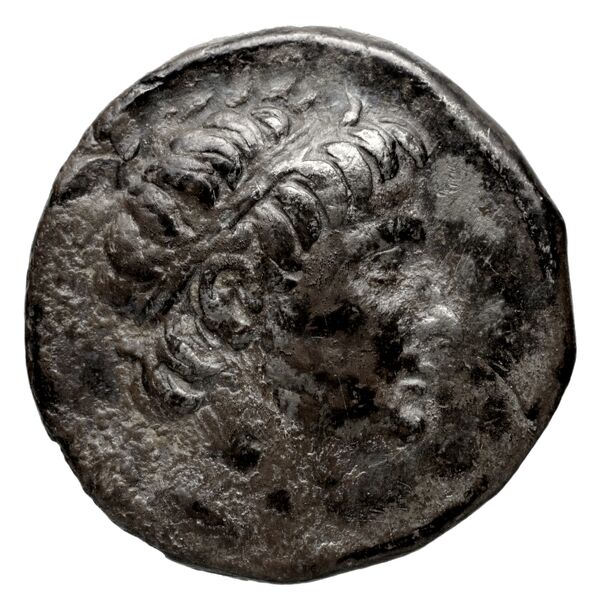 аверс Seleucid Coins (part 1) 748d