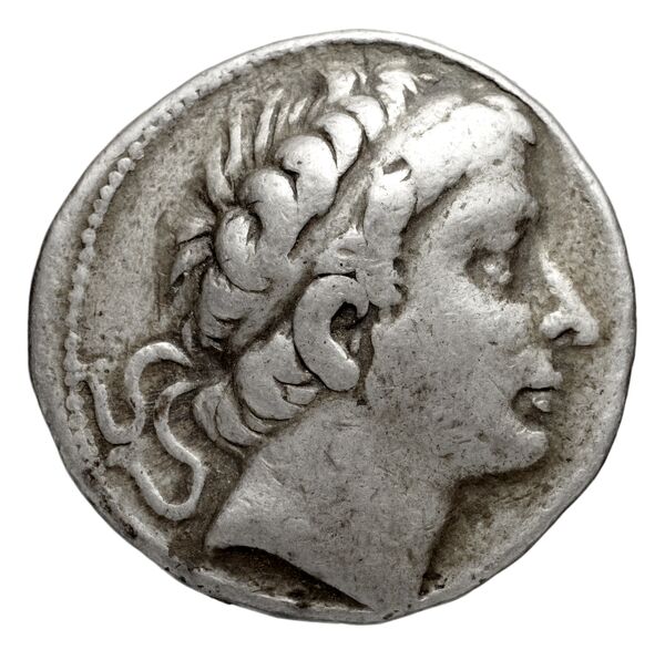 аверс Seleucid Coins (part 1) 764.1