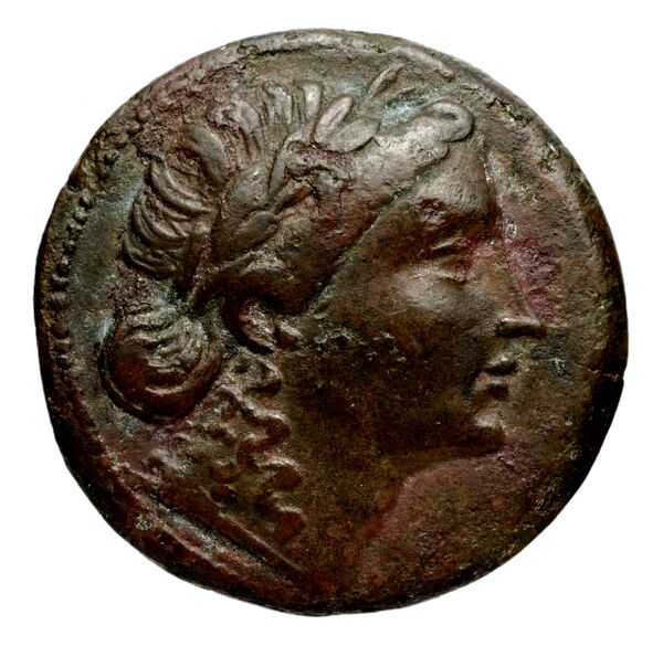 аверс Seleucid Coins (part 1) 773