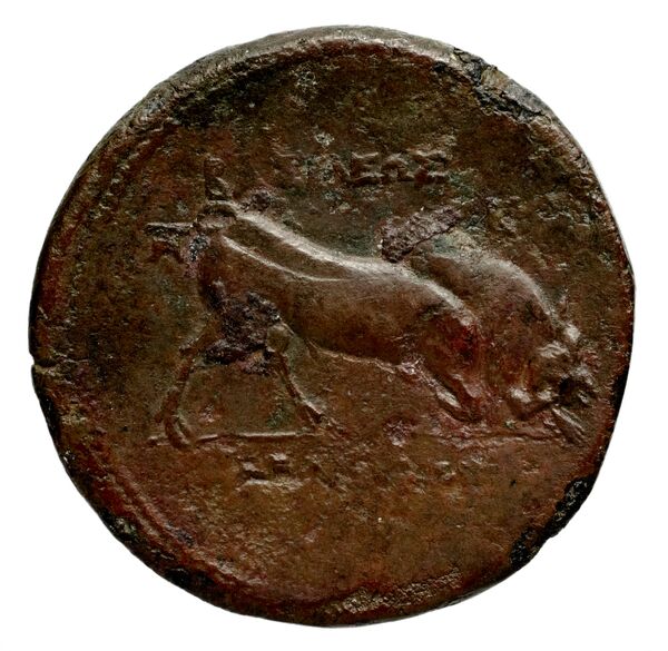 реверс Seleucid Coins (part 1) 773