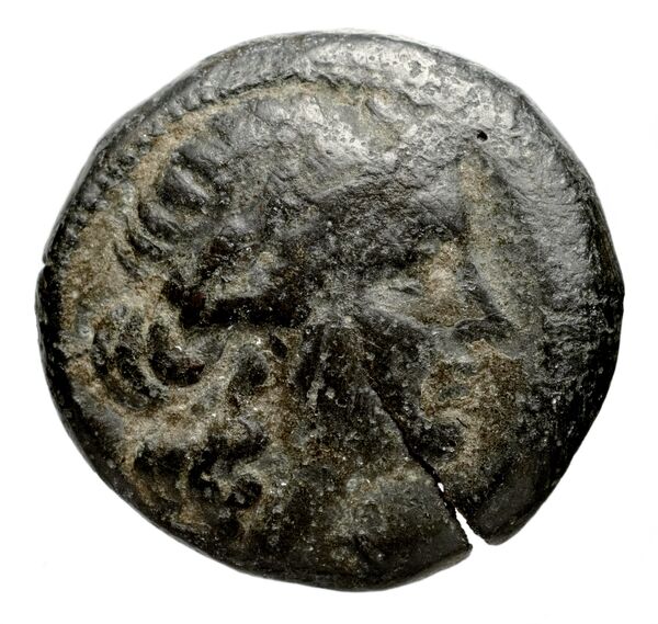 аверс Seleucid Coins (part 1) 937