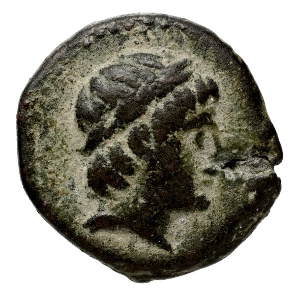аверс Seleucid Coins (part 1) 1055.1c