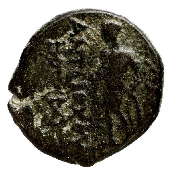 реверс Seleucid Coins (part 1) 1055.1c