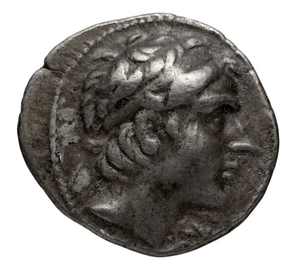 аверс Seleucid Coins (part 1) 1047.2b