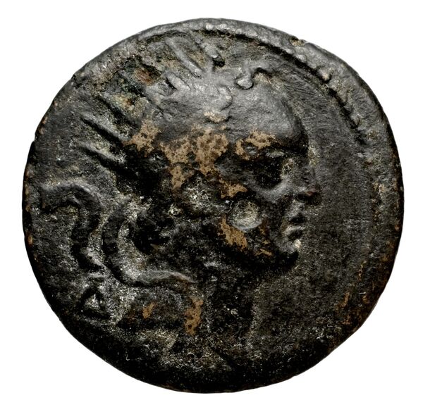 Seleucid Coins (part 2) 1449.1, аверс, bnf-hrc
