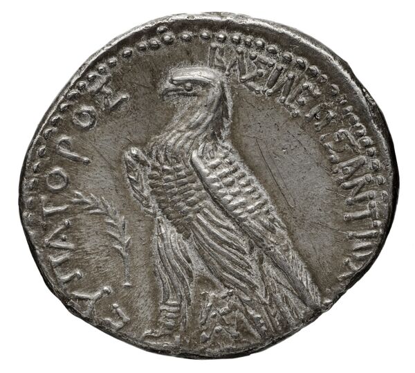 реверс Seleucid Coins (part 2) 1583a