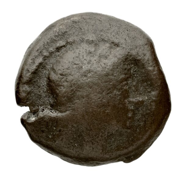 аверс Seleucid Coins (part 1) 18