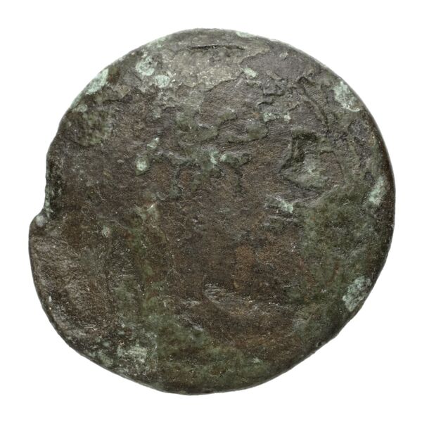Coins of the Ptolemaic Empire Vol. I, Part II, no. B24, аверс, bnf-hrc