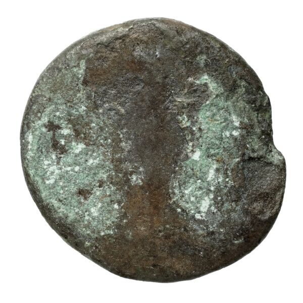 Coins of the Ptolemaic Empire Vol. I, Part II, no. B24, реверс, bnf-hrc