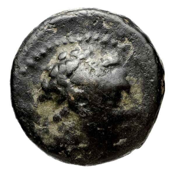 аверс Seleucid Coins (part 2) 1387.3