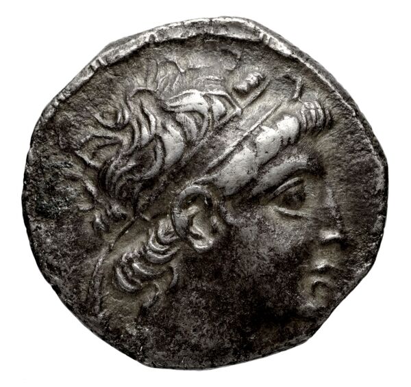 аверс Seleucid Coins (part 2) 1984.3
