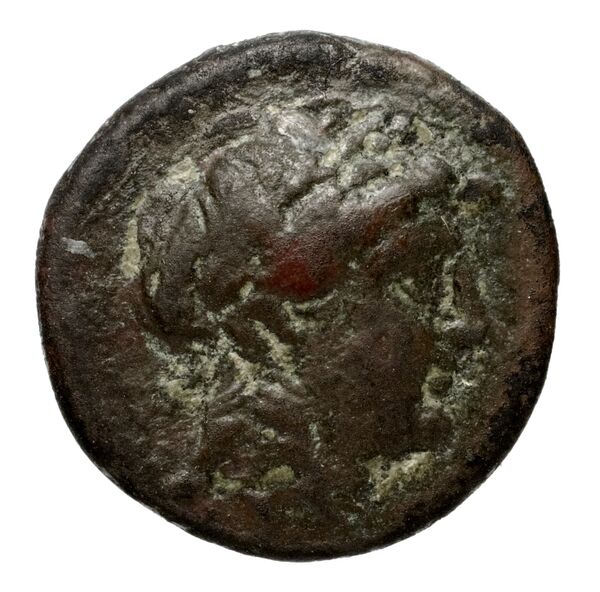 Seleucid Coins (part 1) 528, аверс, bnf-hrc