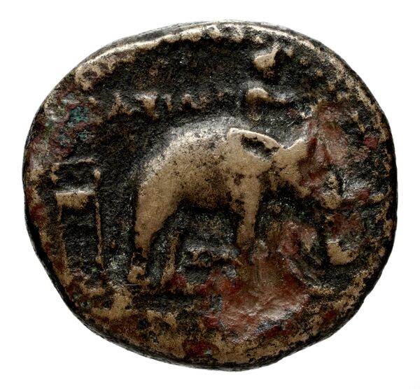 реверс Seleucid Coins (part 1) 1084d