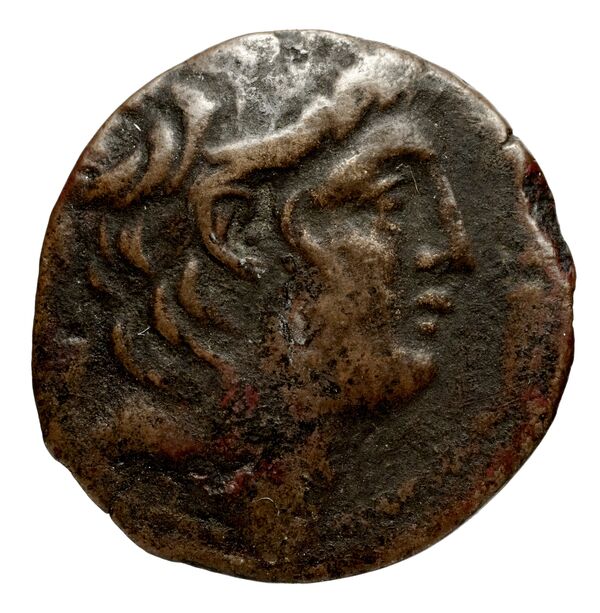 аверс Seleucid Coins (part 2) 2112