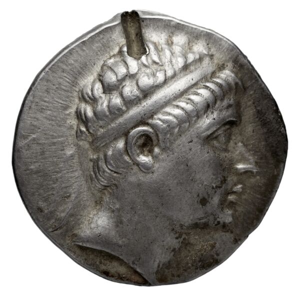 аверс Seleucid Coins (part 1) 851.4