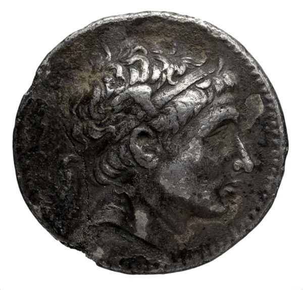 аверс Seleucid Coins (part 1) 490
