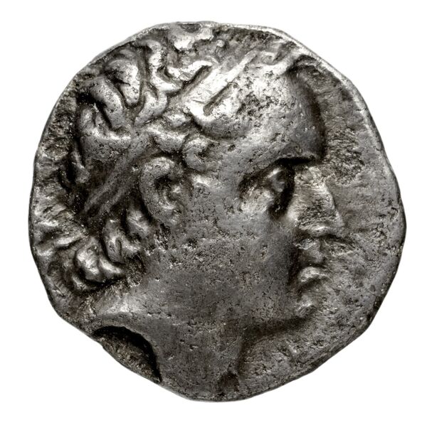 Seleucid Coins (part 2) 1362, аверс, bnf-hrc
