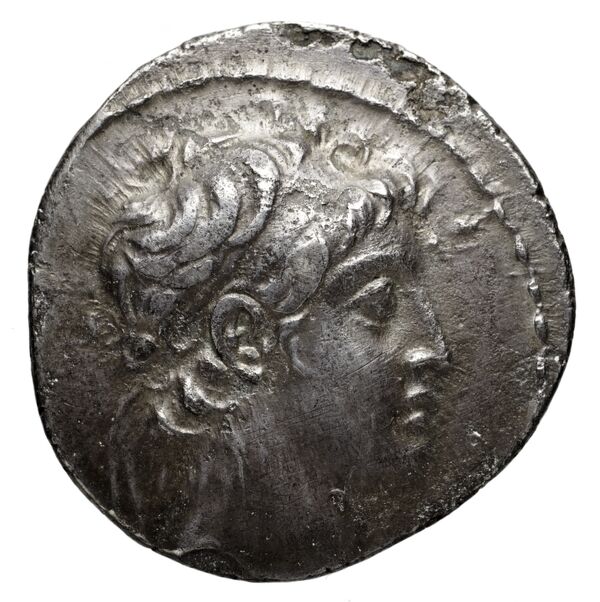 аверс Seleucid Coins (part 2) 1984.1