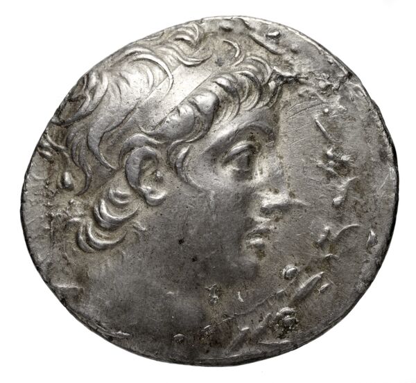 аверс Seleucid Coins (part 2) 1907.1c