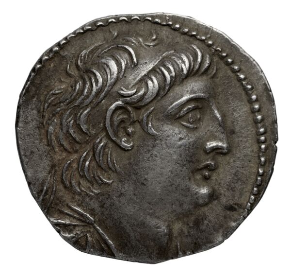 аверс Seleucid Coins (part 2) 2109.6b