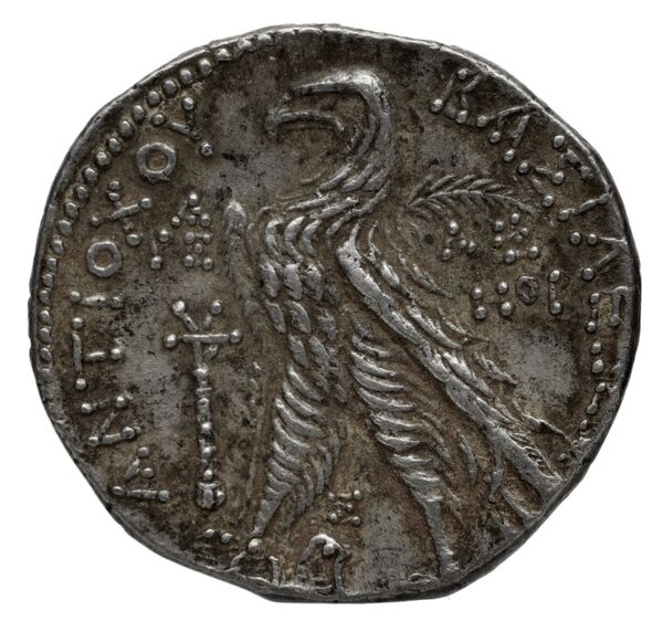 реверс Seleucid Coins (part 2) 2109.6b