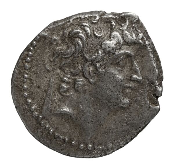 аверс Seleucid Coins (part 2) 2304