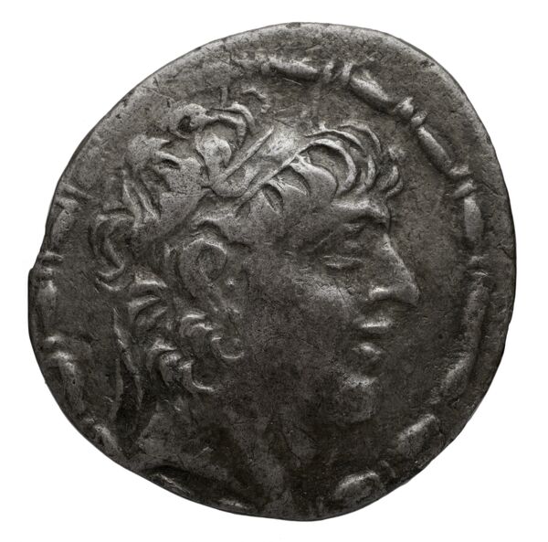 аверс Seleucid Coins (part 2) 2405.24